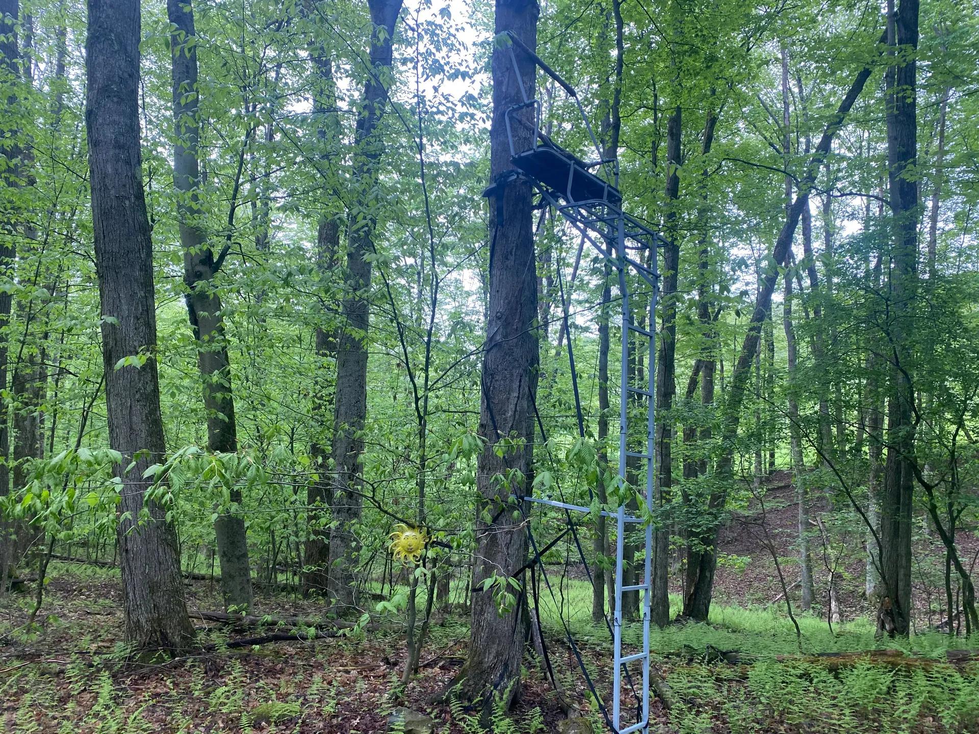 33984123-25