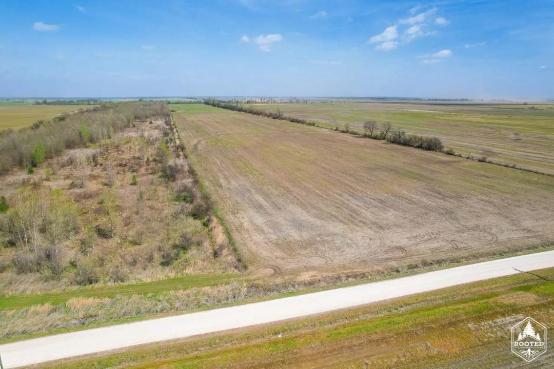 Tract 1 CR 820, Matthews, MO-New Madrid Co. 270 +/- Acres