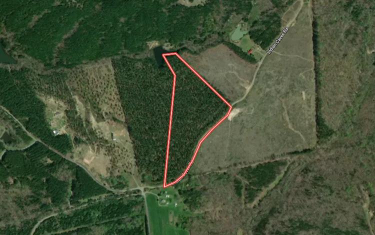 UNDER CONTRACT!!  20.38 acres of Recreational / Residential and Timber Land For Sale in Halifax County VA!