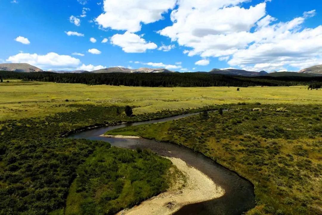 Woolly Bugger Ranch