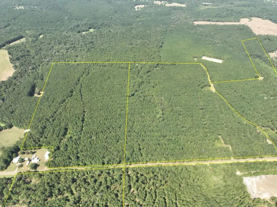 57 Acres | T-6 | FM 256