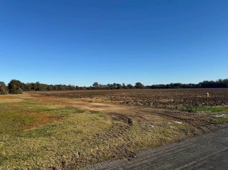 LA - Richland 40 acres +/-