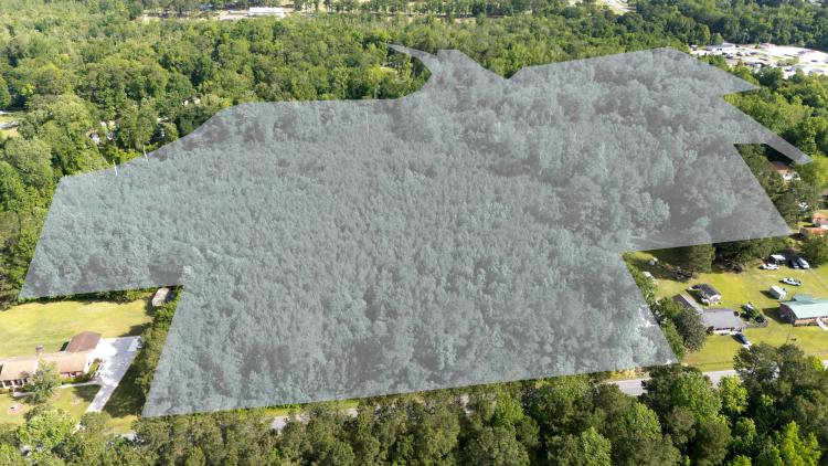 Jacksonville Development Tract