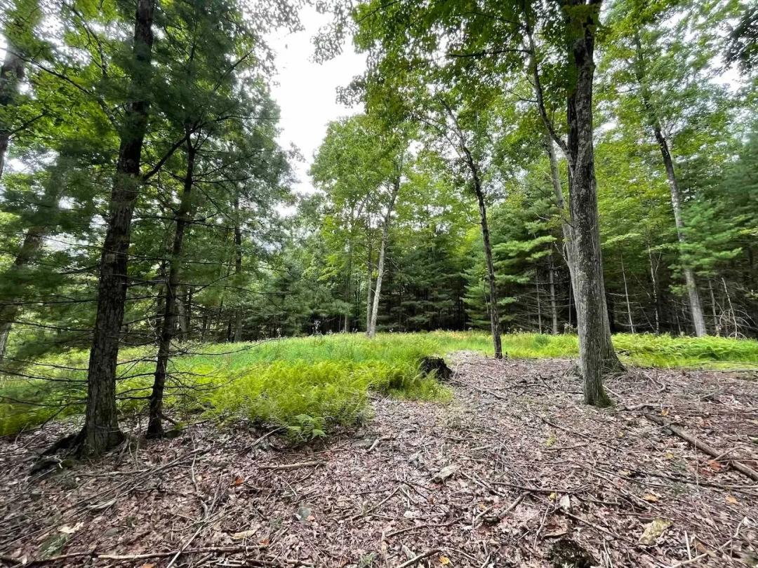 10 acre Building Site in Ellenville NY Oak Ridge Rd