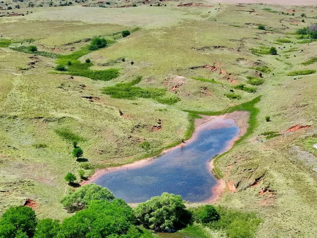 Harper County 160± Acres – Native Grass & Recreation Quarter