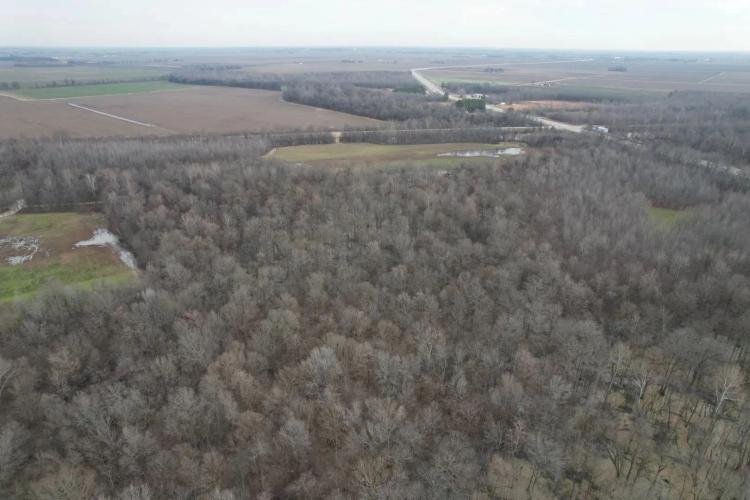 Farm and Recreational Land in Craighead, County, AR