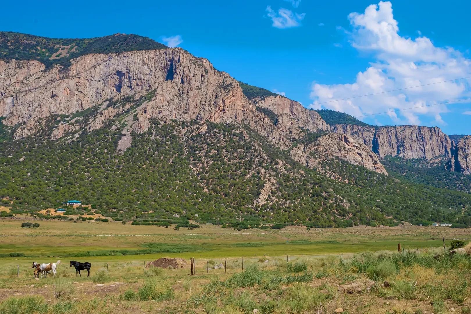 26101 Highway 141 Colorado ranch for sale (3)