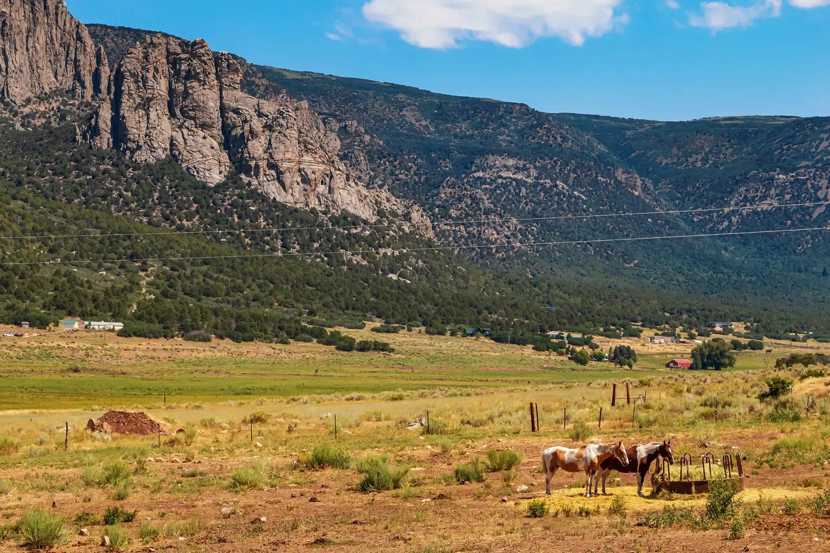 Colorado mountain home and hay ranch for sale (2)