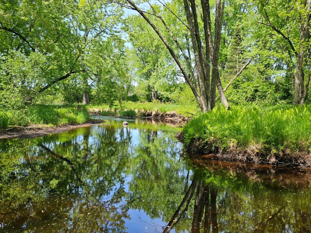 10 Acre Riverfront Retreat Near Tomahawk, WI