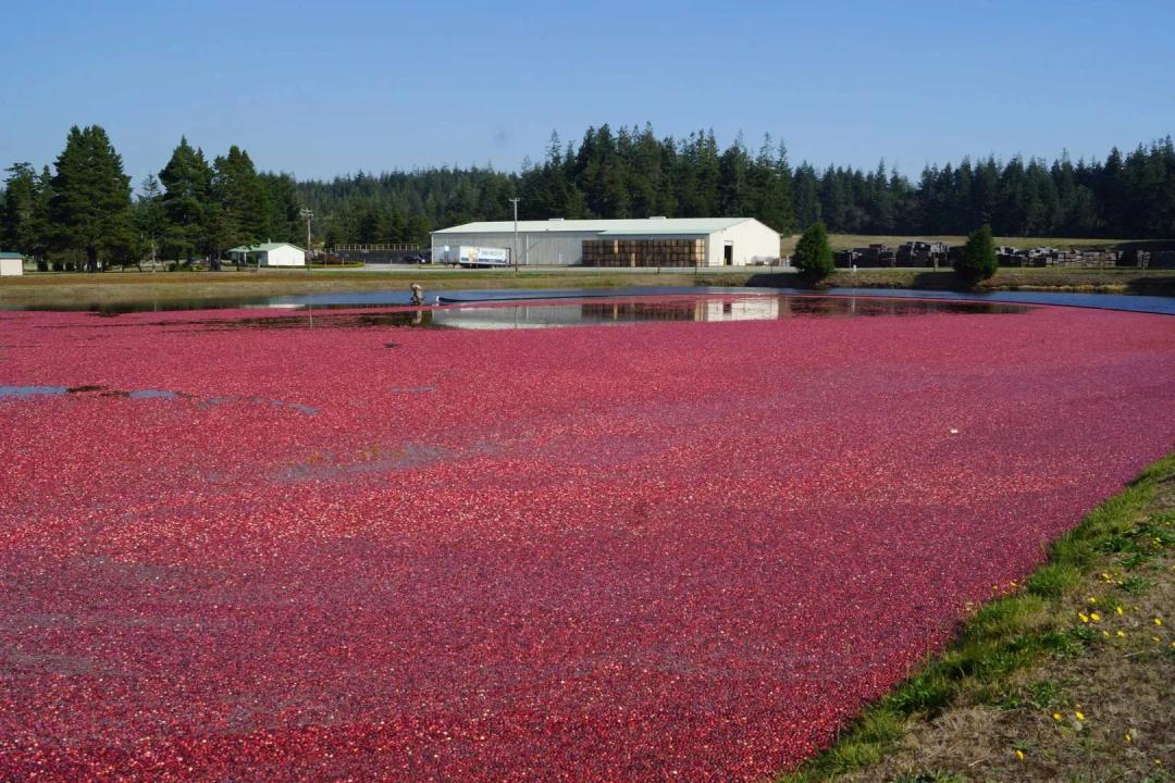 Oregon Cranberry Facility and Home