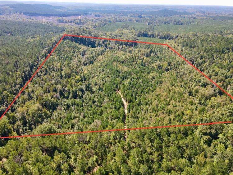 Off Grid 30+/- acres