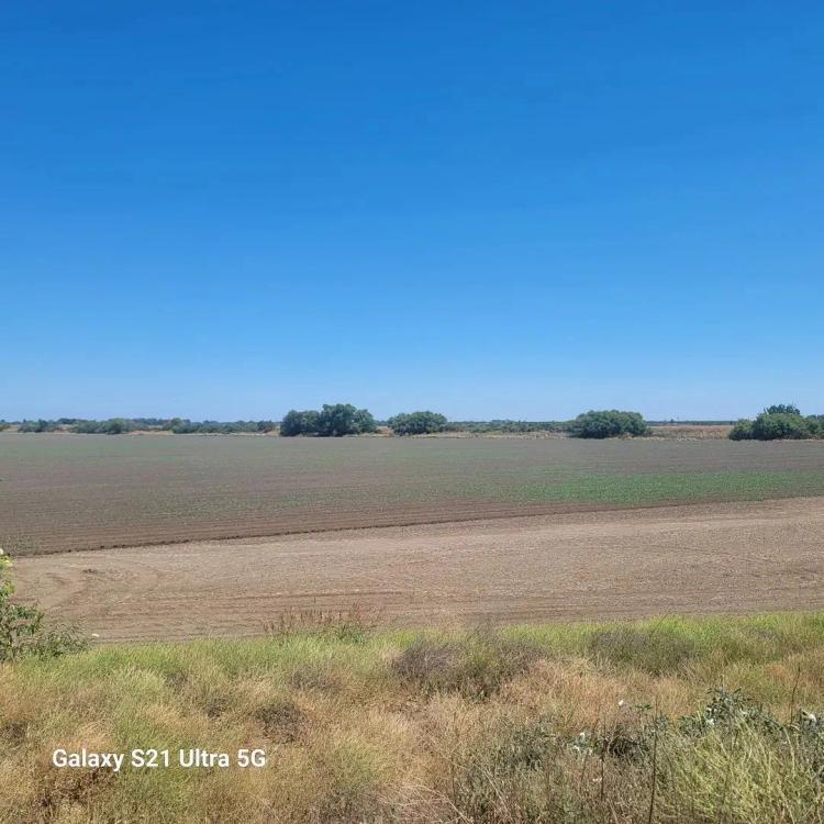 239.3+/- Acres, Roberts Island