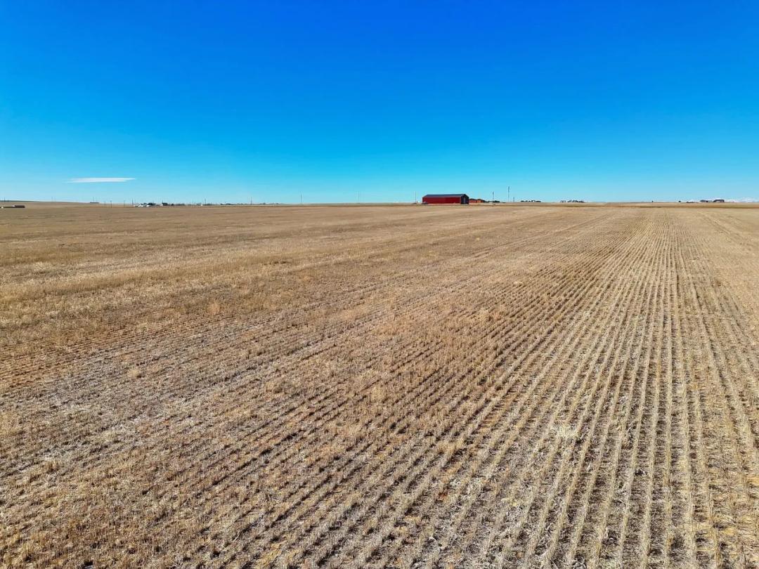 Building Site with Good Road Frontage near Brighton, CO