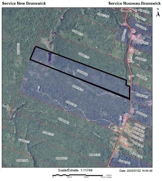 93.90 Acres for Sale - Woodlot 