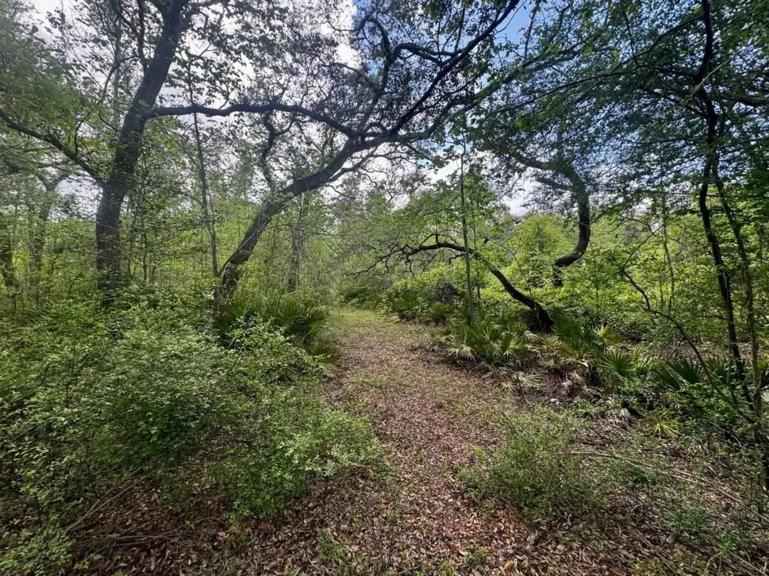 3084 NE Chervil 12.96 Acres