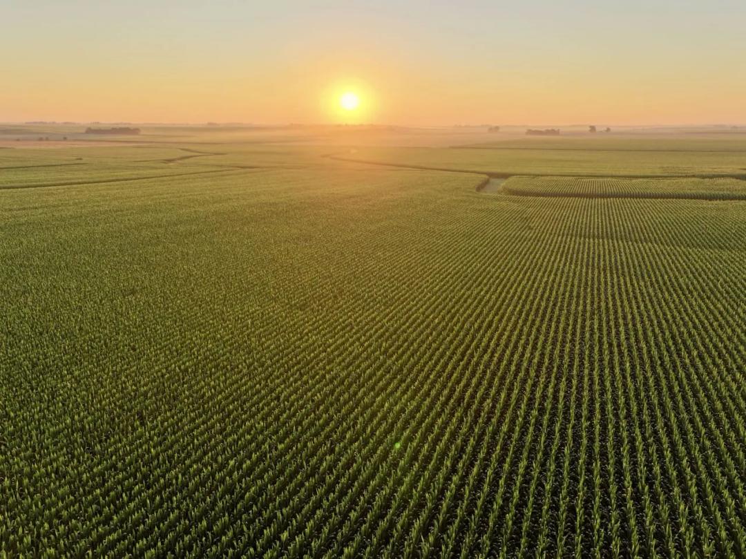 Listing #19590 - 107.43 acres in Butler County, IA