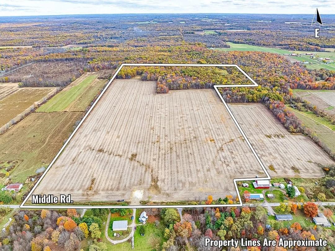Middle Rd - 87 acres
