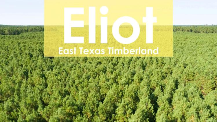 34 Acres | T-28 | Eliot