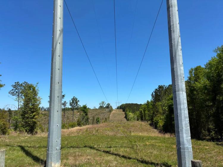 185+/- acres Hale Co., AL