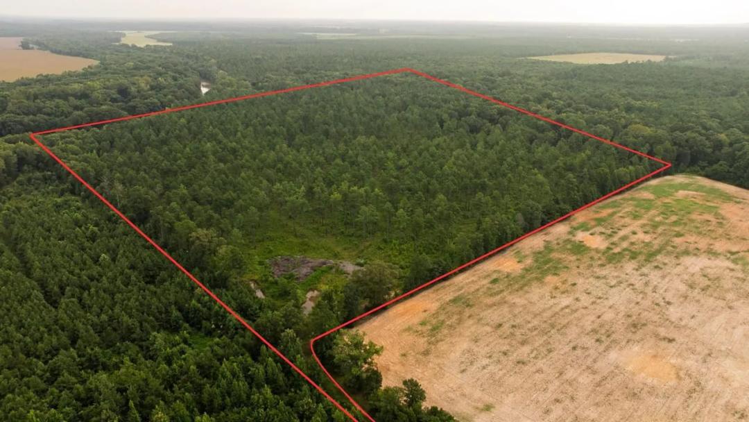 Affordable Morehouse Parish Land for Sale