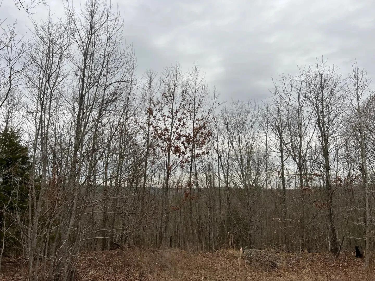 34387867-29