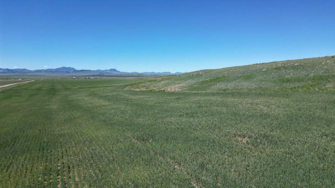 Prime 200 Acres-Cascade MT