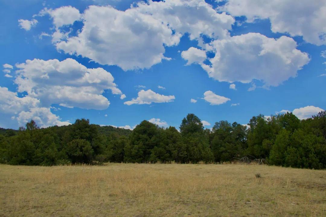 TBD La Veta Pines Ranch #14, LaVeta, CO 81055
