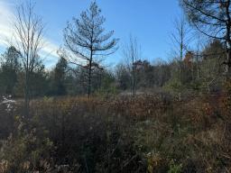 Erin Marsh Rd Lot 3 2