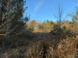 Erin Marsh Rd Lot 3 3