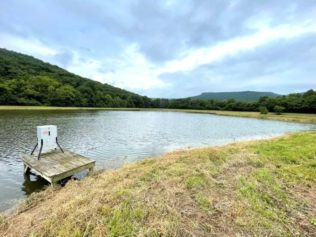 Fisherman's Farm
