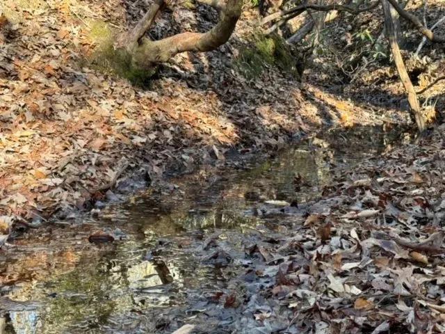 +/- 2.55 Acres on Mountain Mint Way in Salem, SC