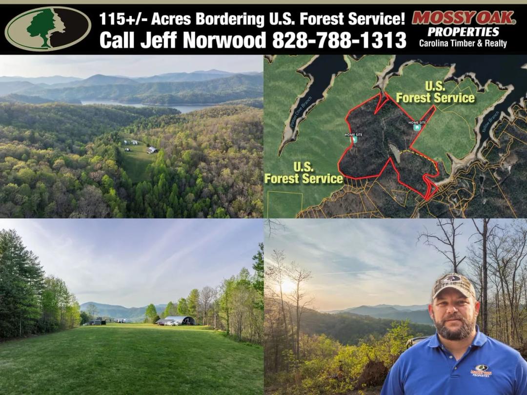 115+/- Acres Bordering U.S. Forest Service & Fontana Lake Frontage