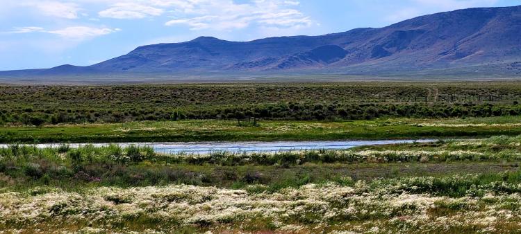 Rio Grande River Frontage - Southern Colorado