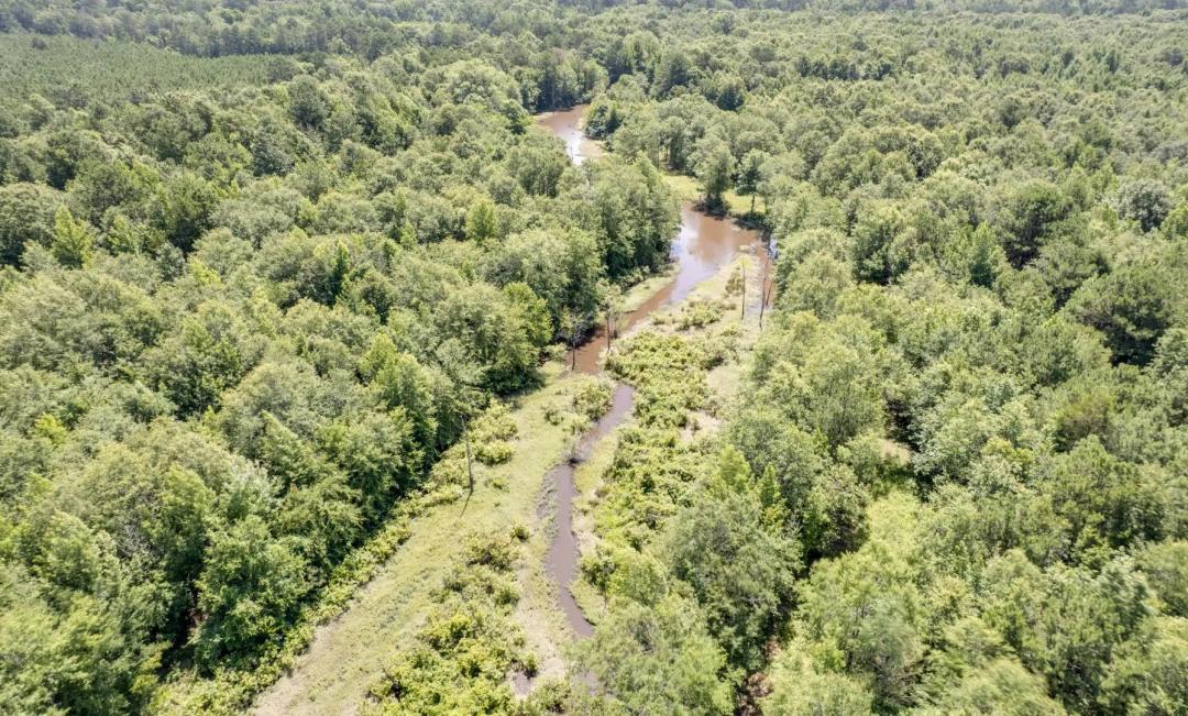 97.85 Acres - Turnkey Hunting Property in Atlanta, TX