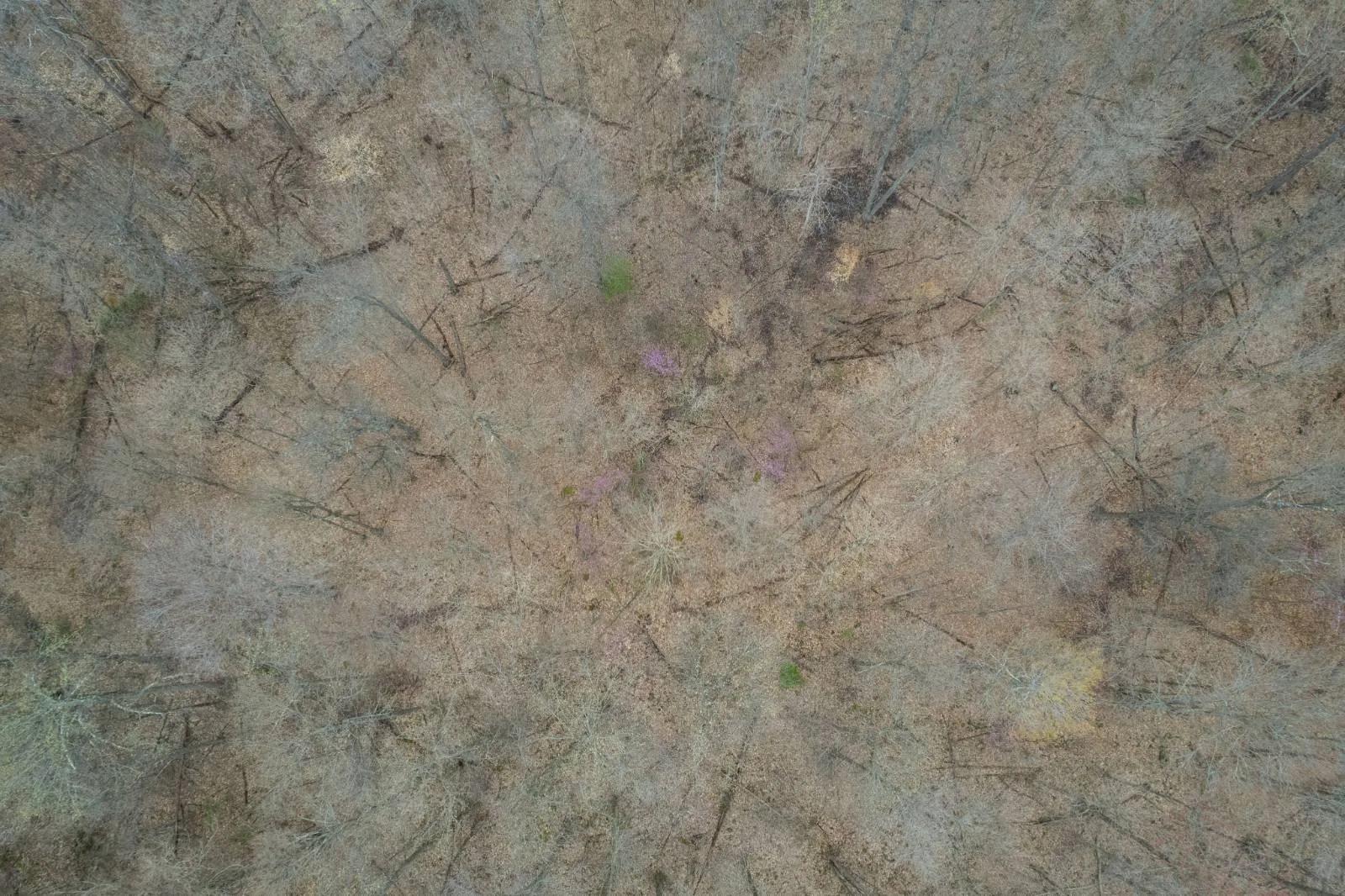 34612451-9