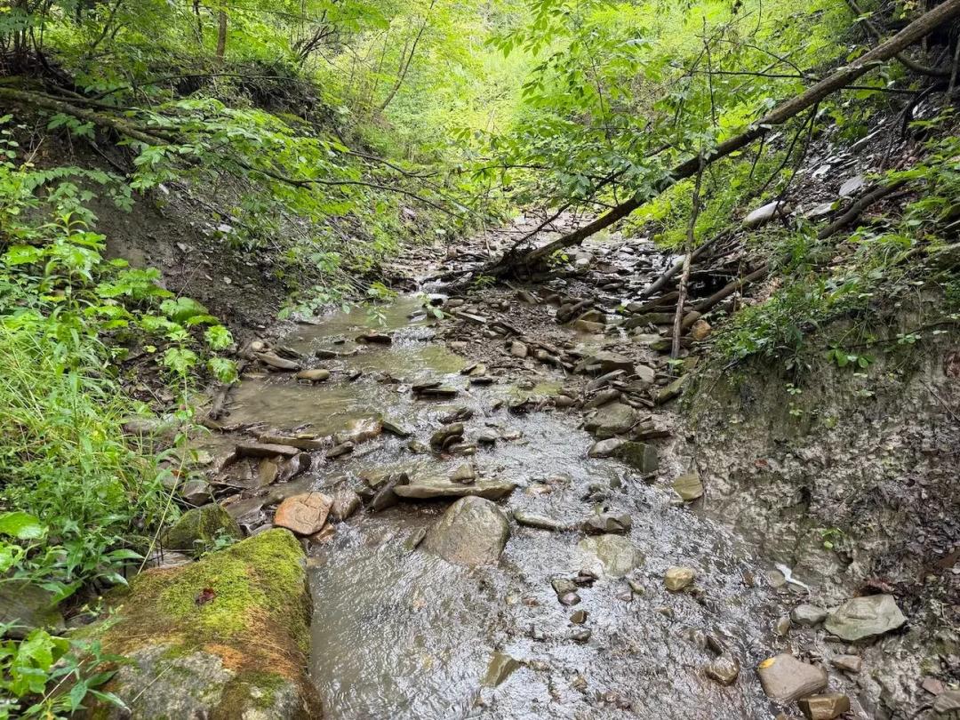 14.8 acres Recreational Land and Hunting Land in Sardinia NY Creek Rd