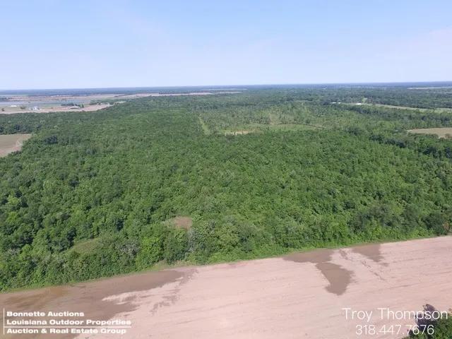 143.33 Acres at 0 Carmons Road