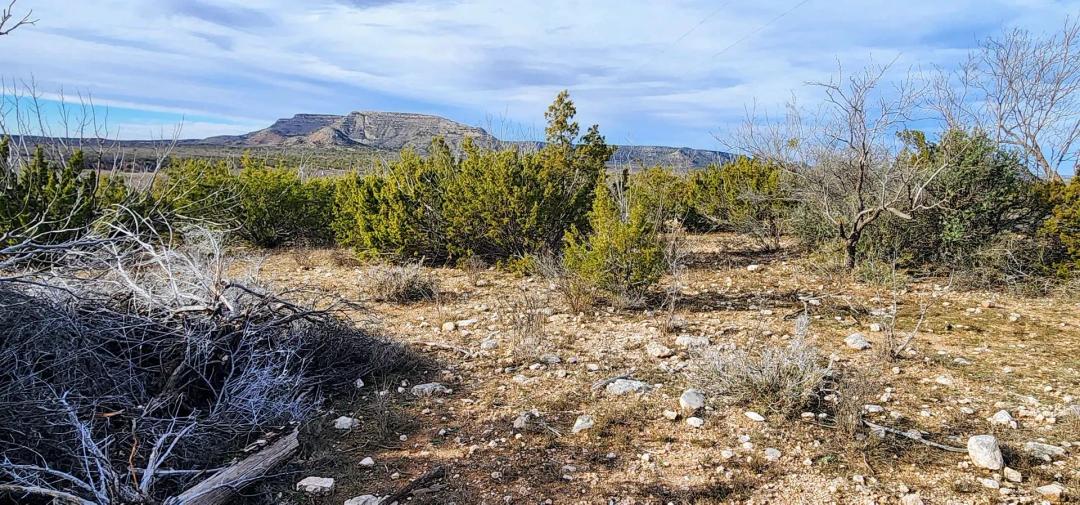 Hunting land for Sale in Robert Lee Texas