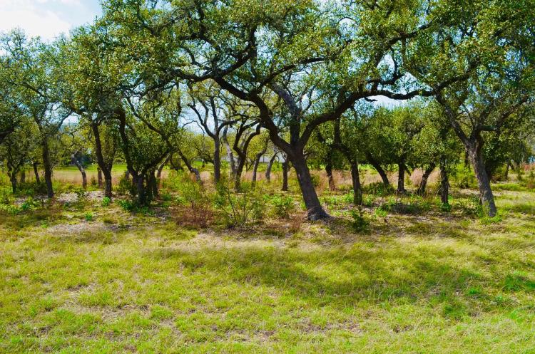 122 Carousel Ln, Driftwood, Texas 78619