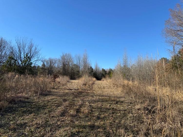 30.00 Acres at 1803 Sanders Rd