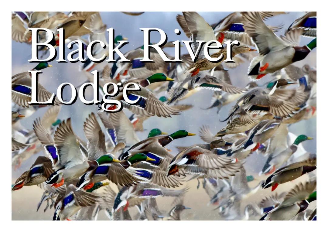 Black River Lodge