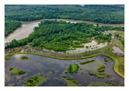 blackriver5