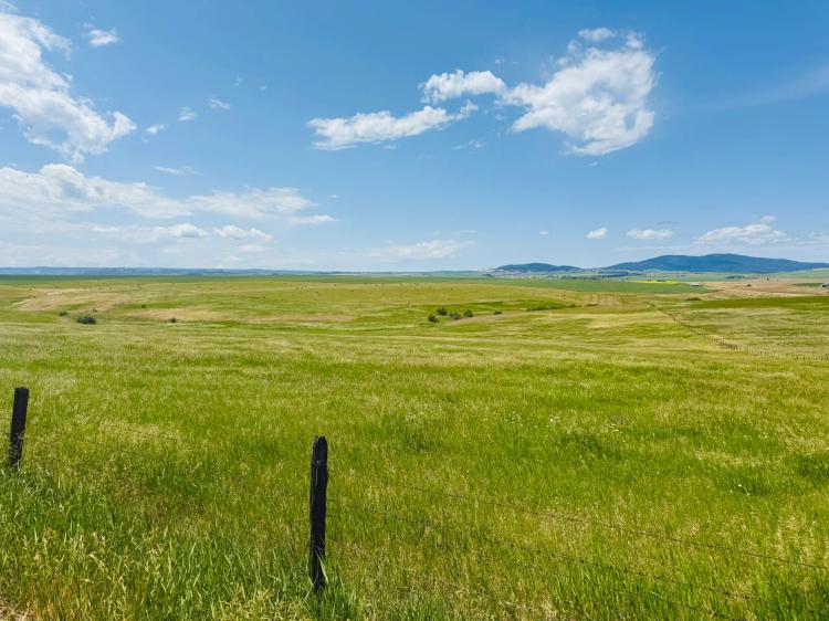 Wasem Road Parcel 1