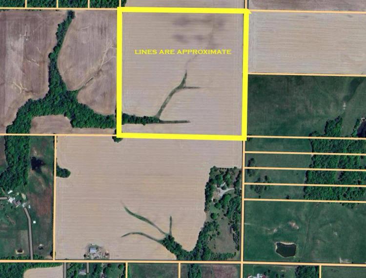 40+/-Acres of Productive Farmland