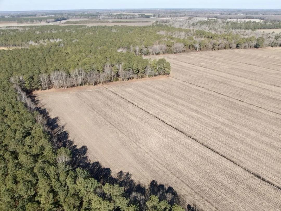 UPDATED!!  36.29 acres of agricultural and recreational land for sale in Chowan County, NC!