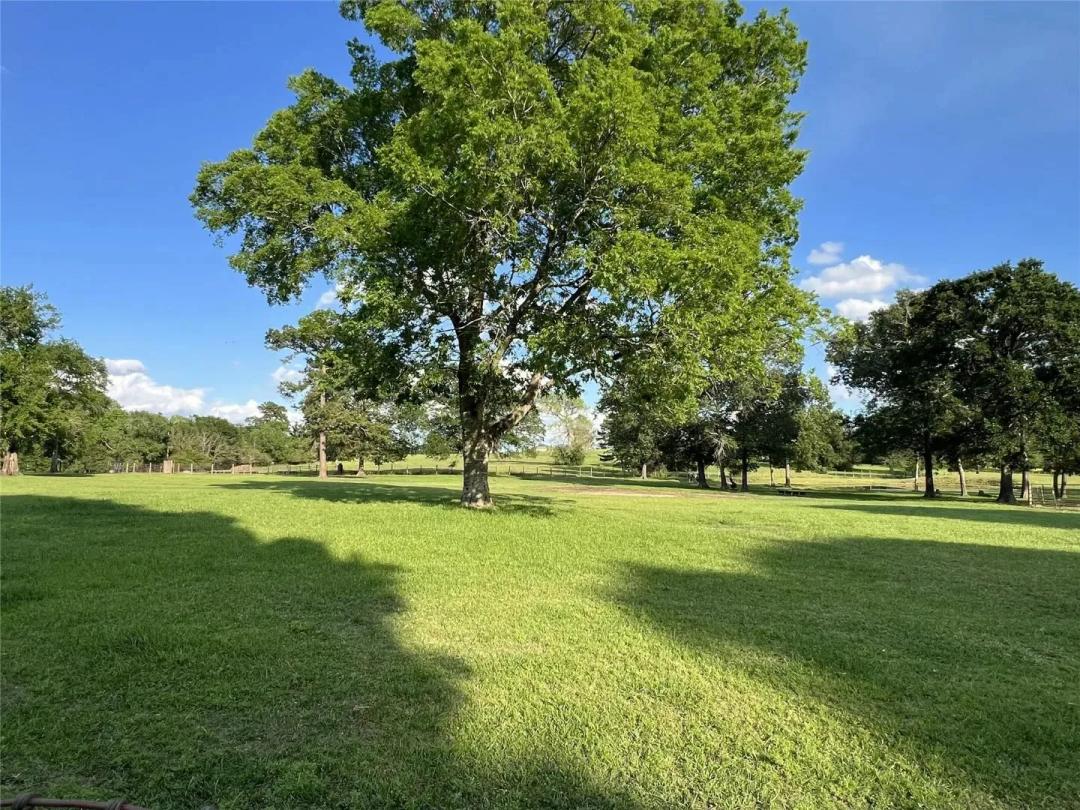 Hill Creek 7