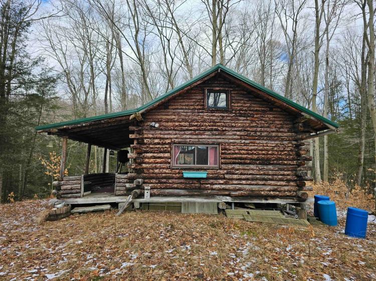 Rustic Log Cabin with 27 Wooded Acres in Dryden NY 634 Ringwood Rd near Ithaca