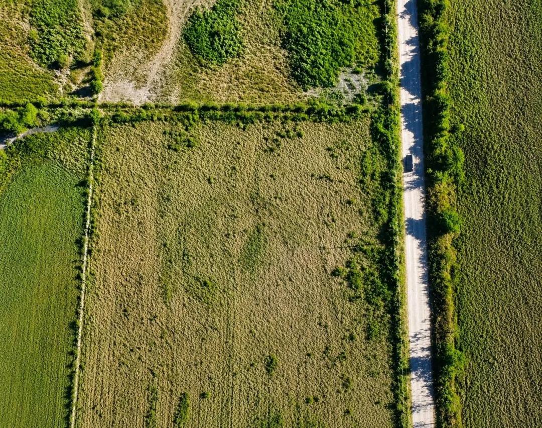 Build ready land