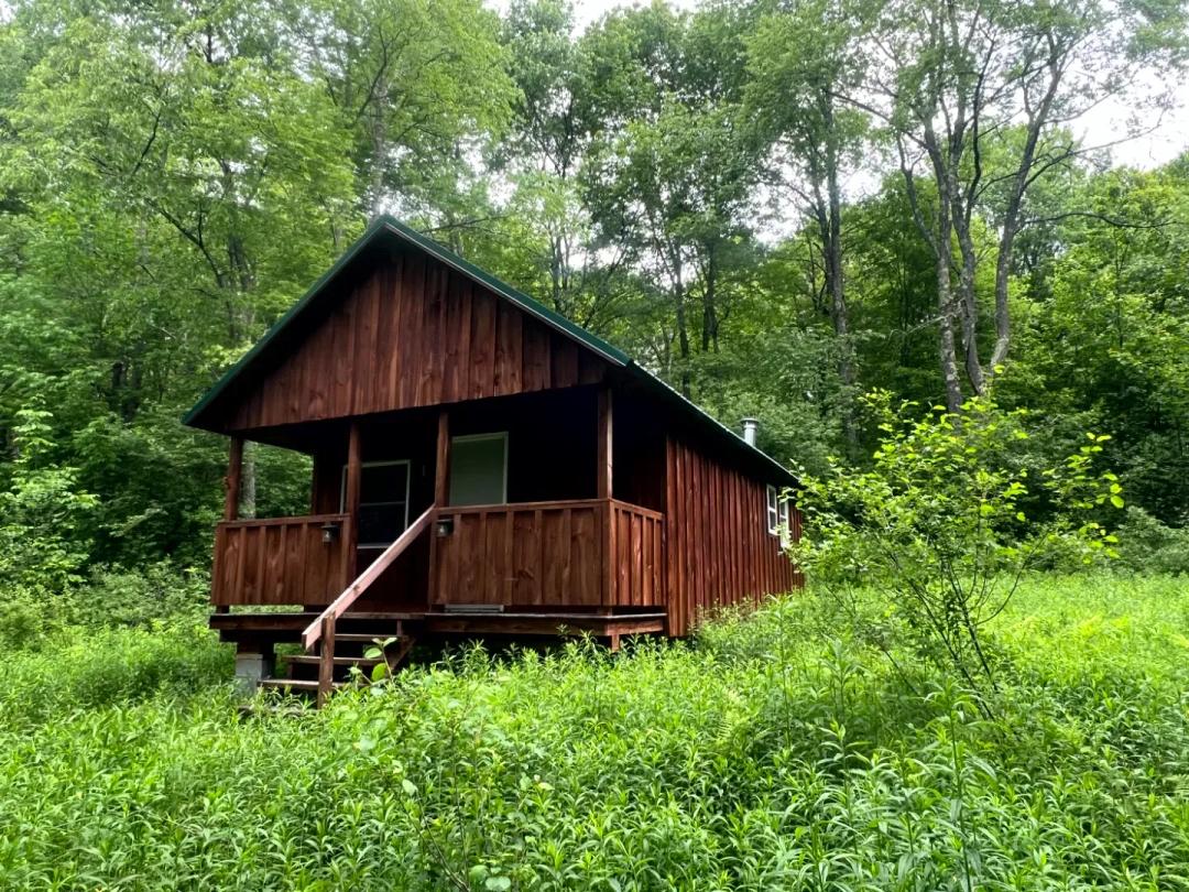 Camp Blue Heron