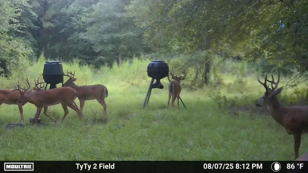 Timber Creek Farms